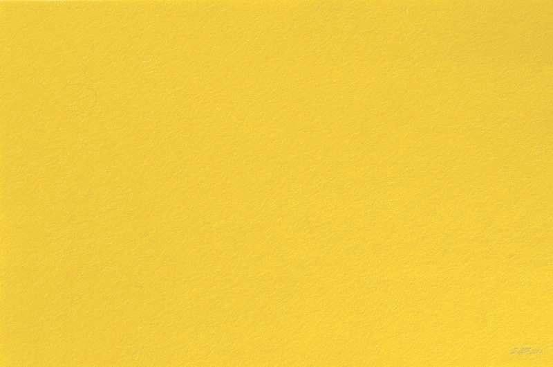 FL004 Wollfilz 1mm, 20x30cm gelb